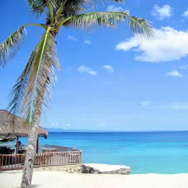 セブ島は東南アジアの中でも指折りのリゾート地です